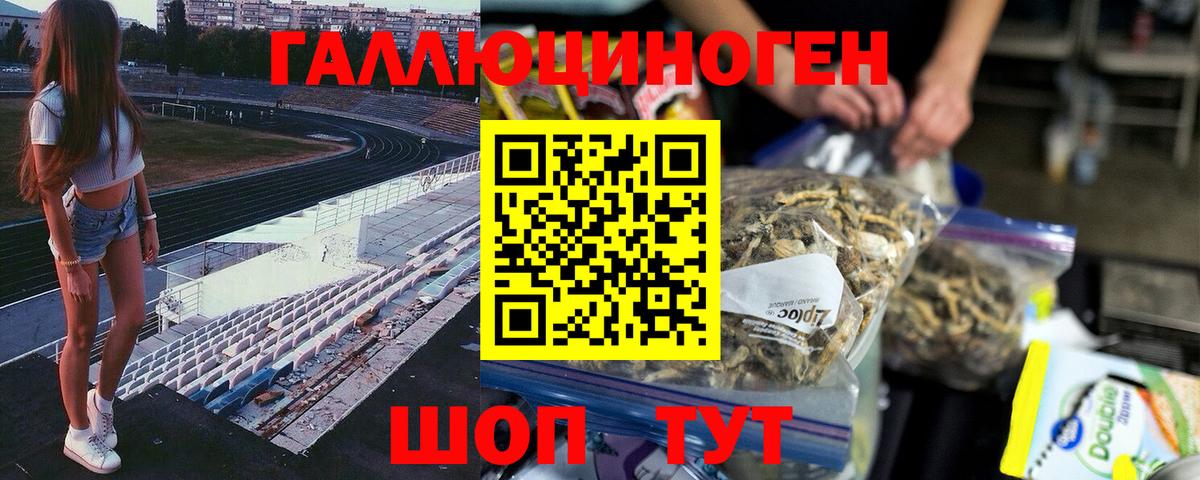 Галлюциногенные грибы прущие грибы Канаш