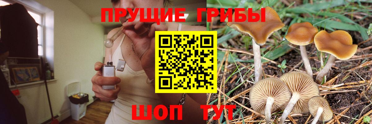 Галлюциногенные грибы мицелий  Вход с VPN  Канаш 